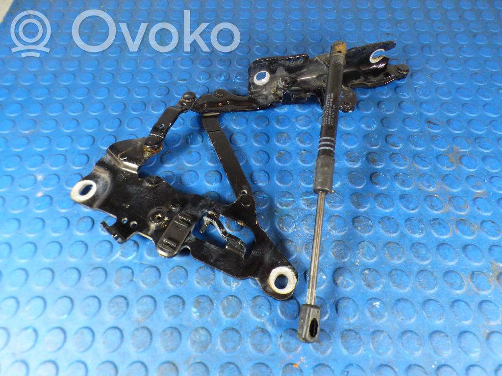 BMW 5 F10 F11 Cerniere del vano motore/cofano 