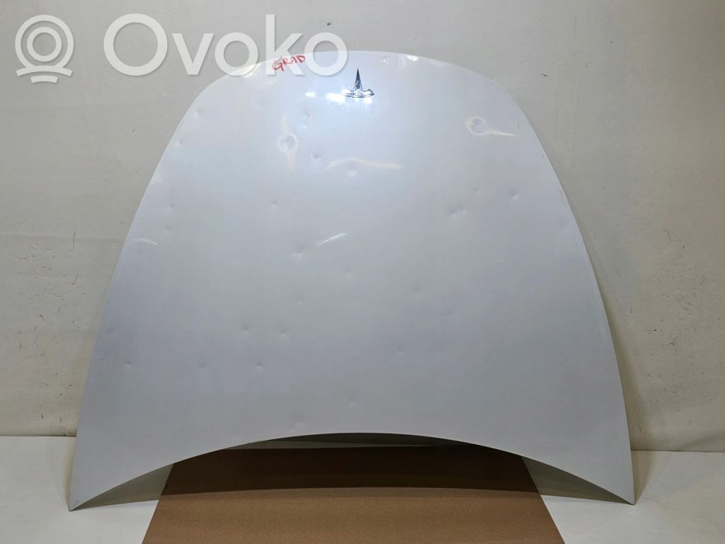 Motorhaube