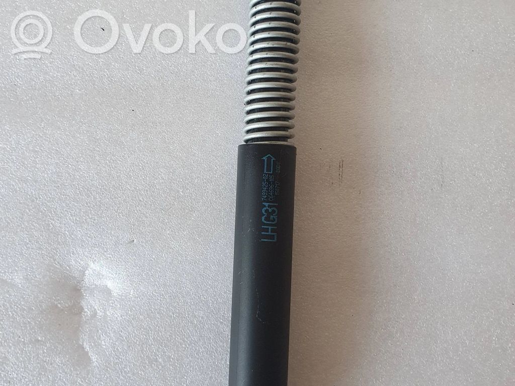 Amortyzator klapy tylnej bagażnika   7499425,7499425,150717