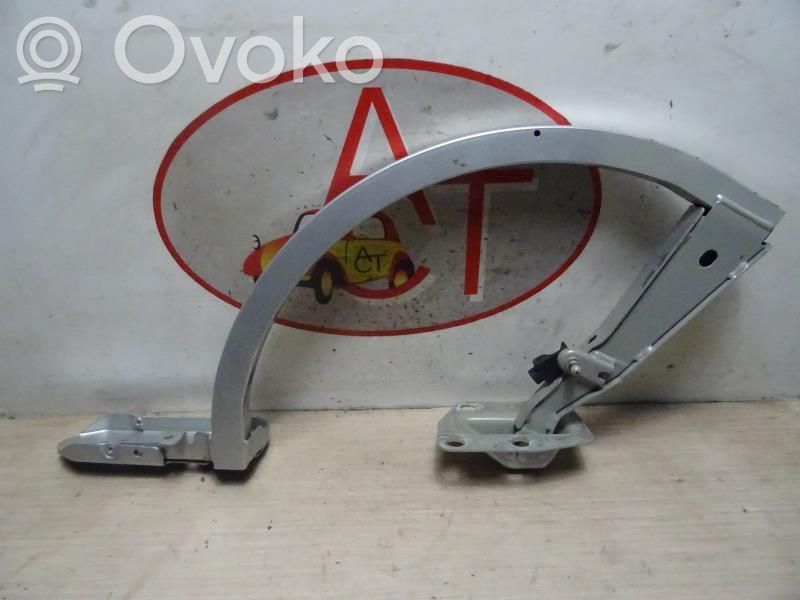 Tailgate/trunk/boot hinge