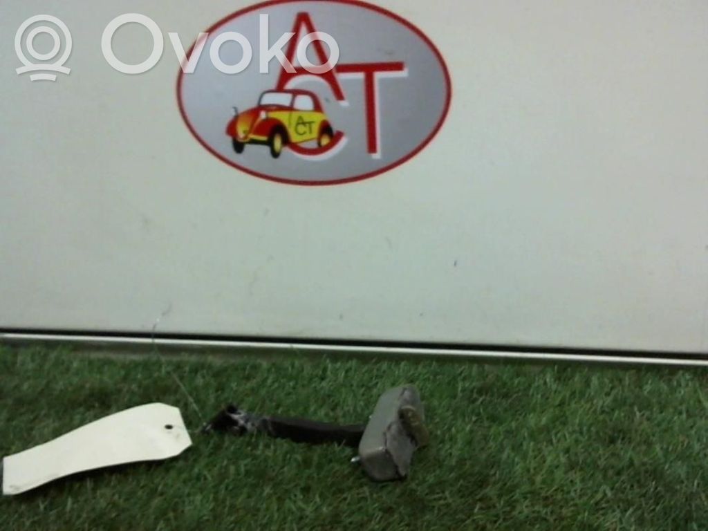 Rear door lock loop/hook striker