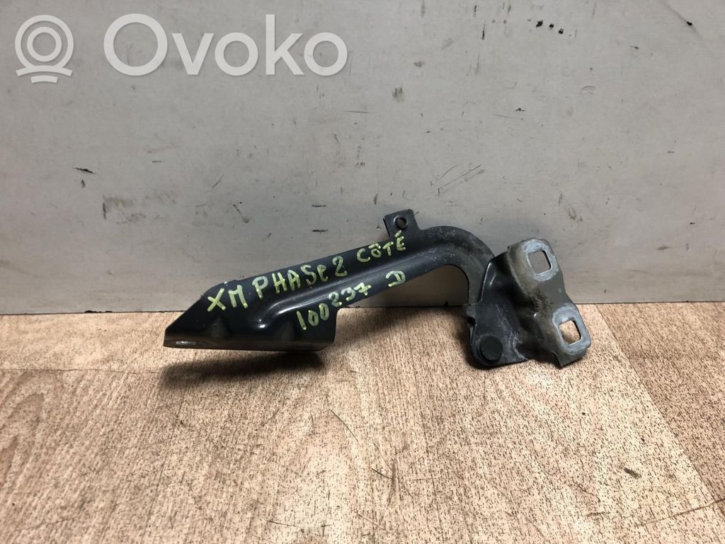 Engine bonnet/hood hinges