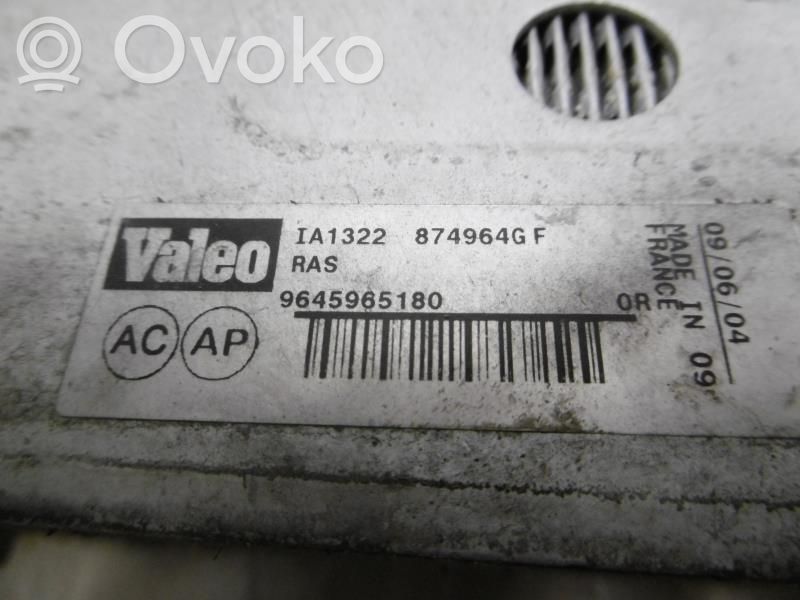 Citroen Xsara Picasso Intercooler radiator 