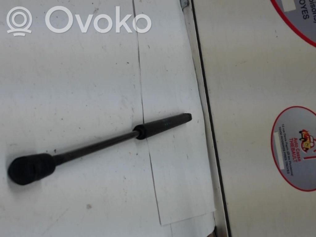 Citroen C3 Ammortizzatore portellone posteriore/bagagliaio