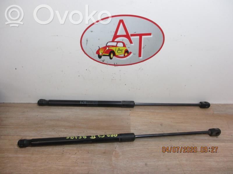 Amortizor hayon   00008731V8,00008731V8