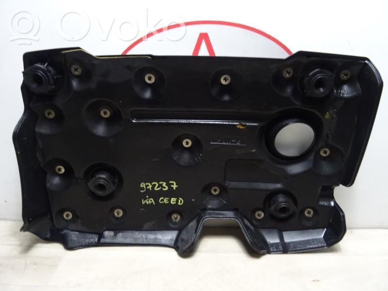 Engine cover (trim)   291102F200,291102F200