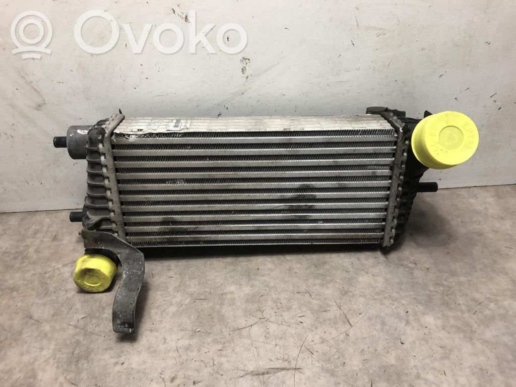 Intercooler radiator   2027395,2027395