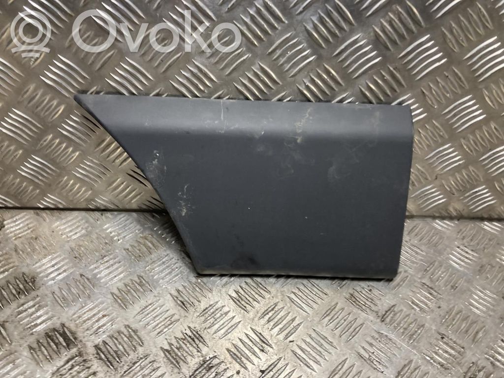 Listón embellecedor de la puerta delantera (moldura)