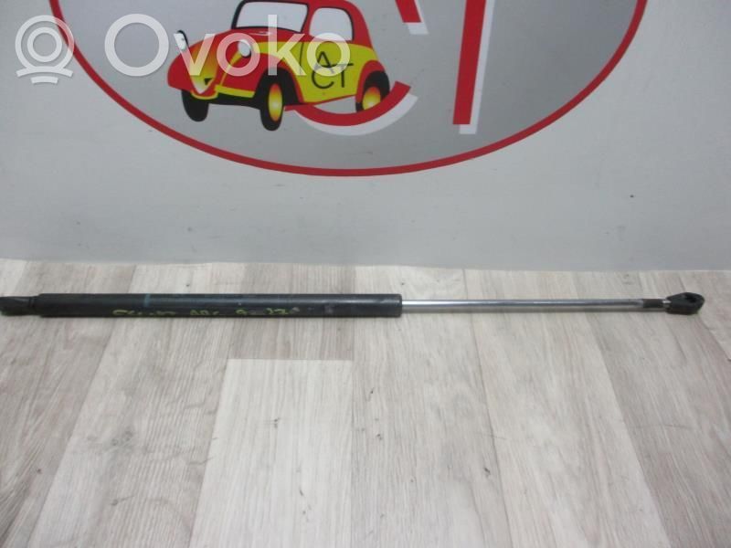 Tailgate/trunk strut/damper