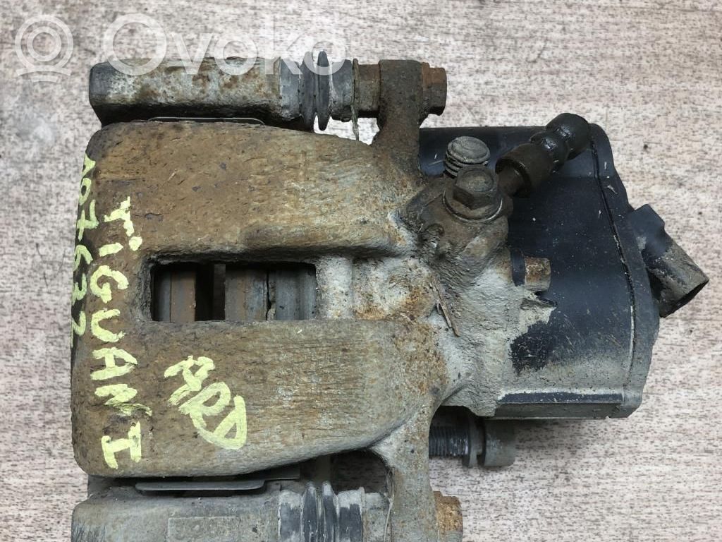 Takajarrusatula   5N0615404,5N0615404
