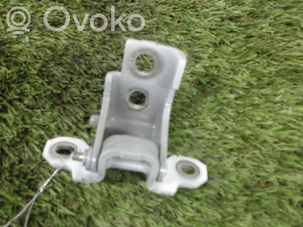 Renault Clio IV Front door hinge set 