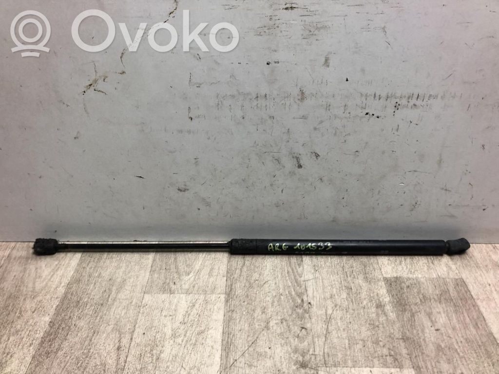 Tailgate/trunk strut/damper