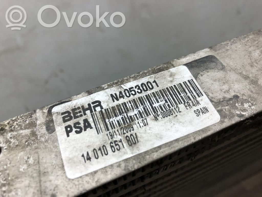 Radiador intercooler   00000384L5,00000384L5