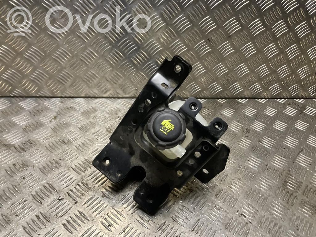 Renault Captur II Serbatoio di compensazione del liquido refrigerante/vaschetta