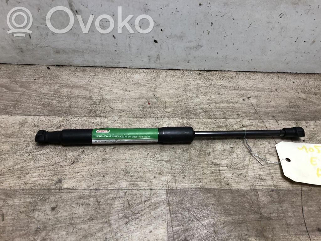 Front bonnet/hood damper/strut