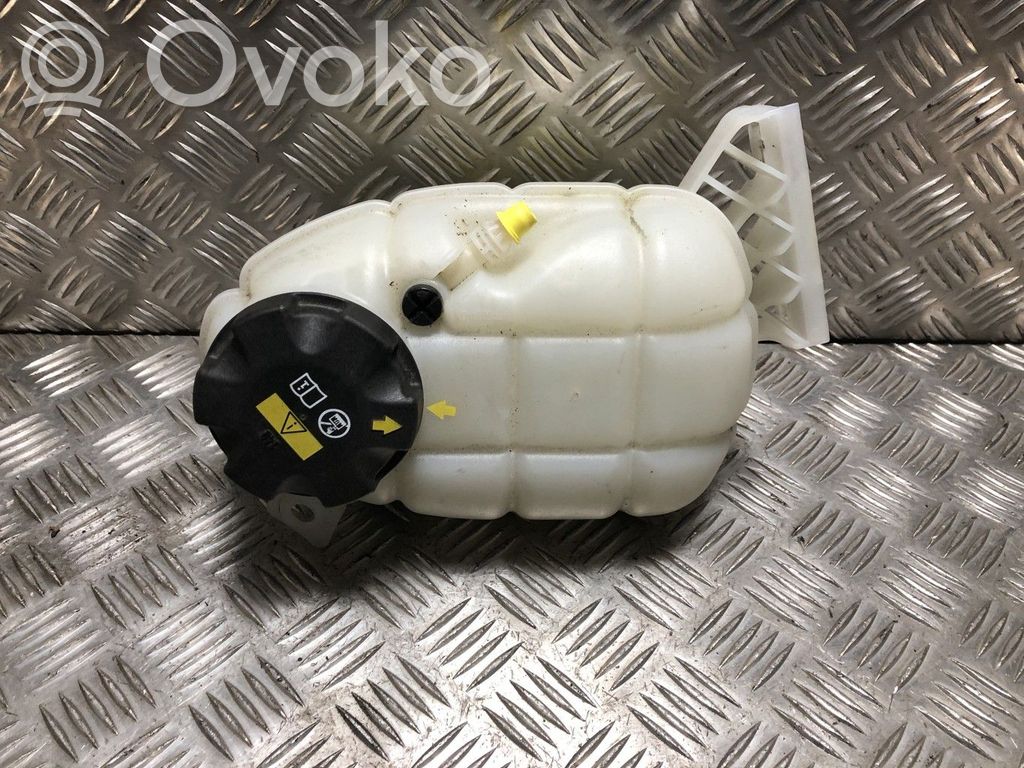 BMW 1 F20 F21 Vas expansiune/rezervor lichid de răcire 