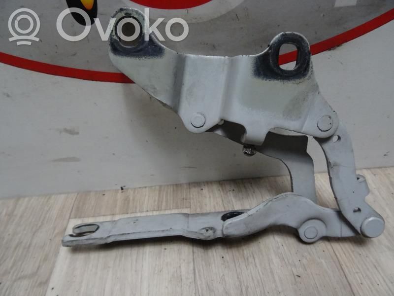 Cerniere del vano motore/cofano   41617210677,41617210677