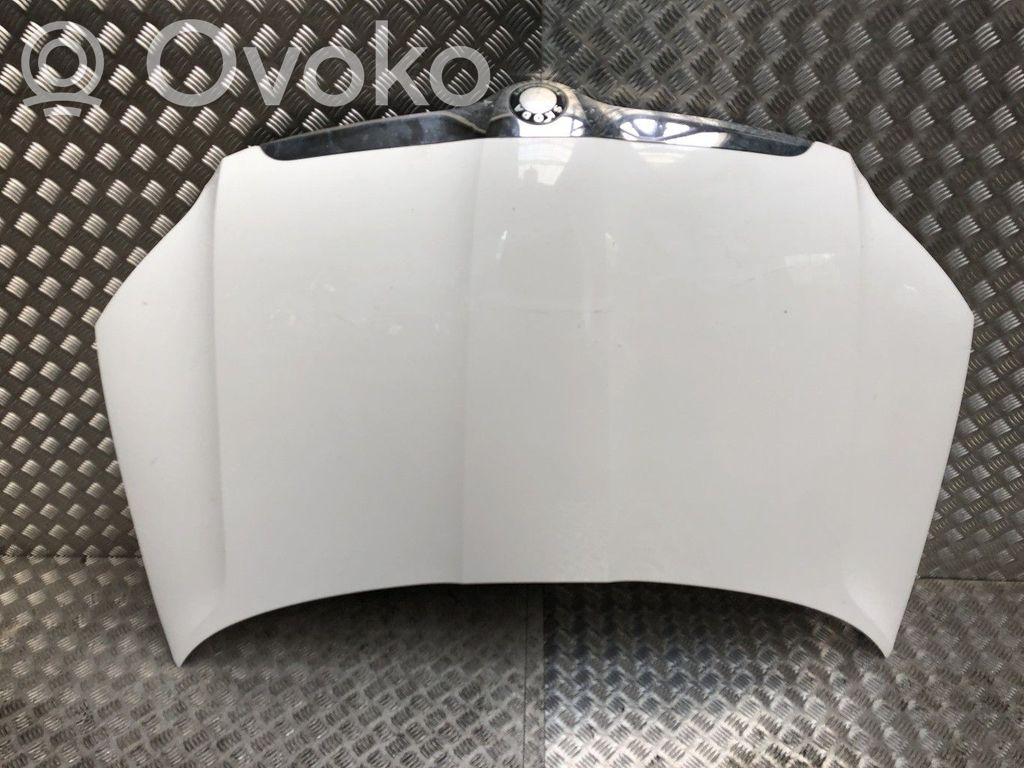 Motorhaube   5L0823031,5L0823031