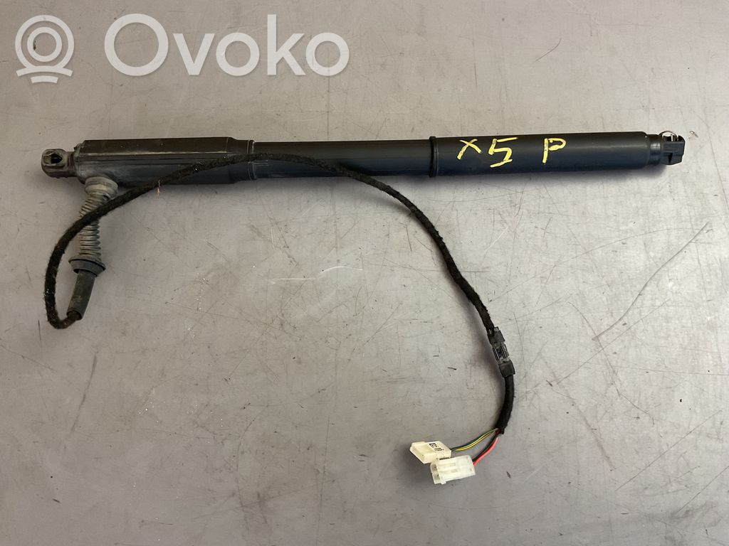 BMW X5 E70 Tailgate/trunk strut/damper 