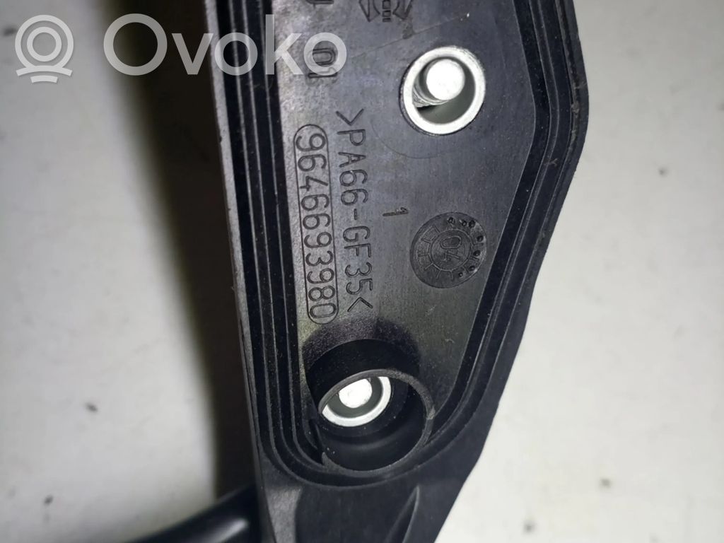Pedal assembly   9646693980