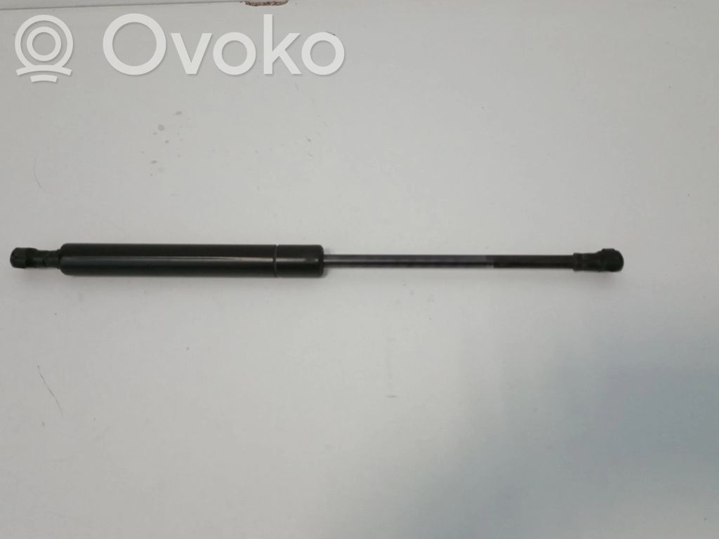 Tailgate/trunk strut/damper   0660N