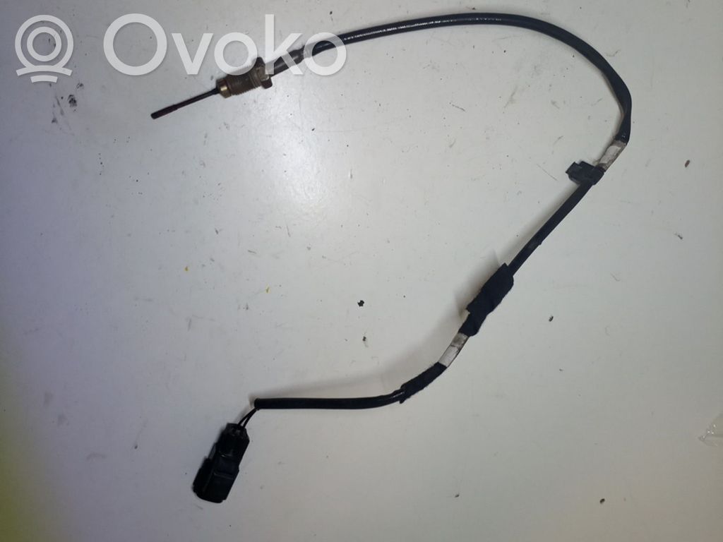 Alarm movement detector/sensor