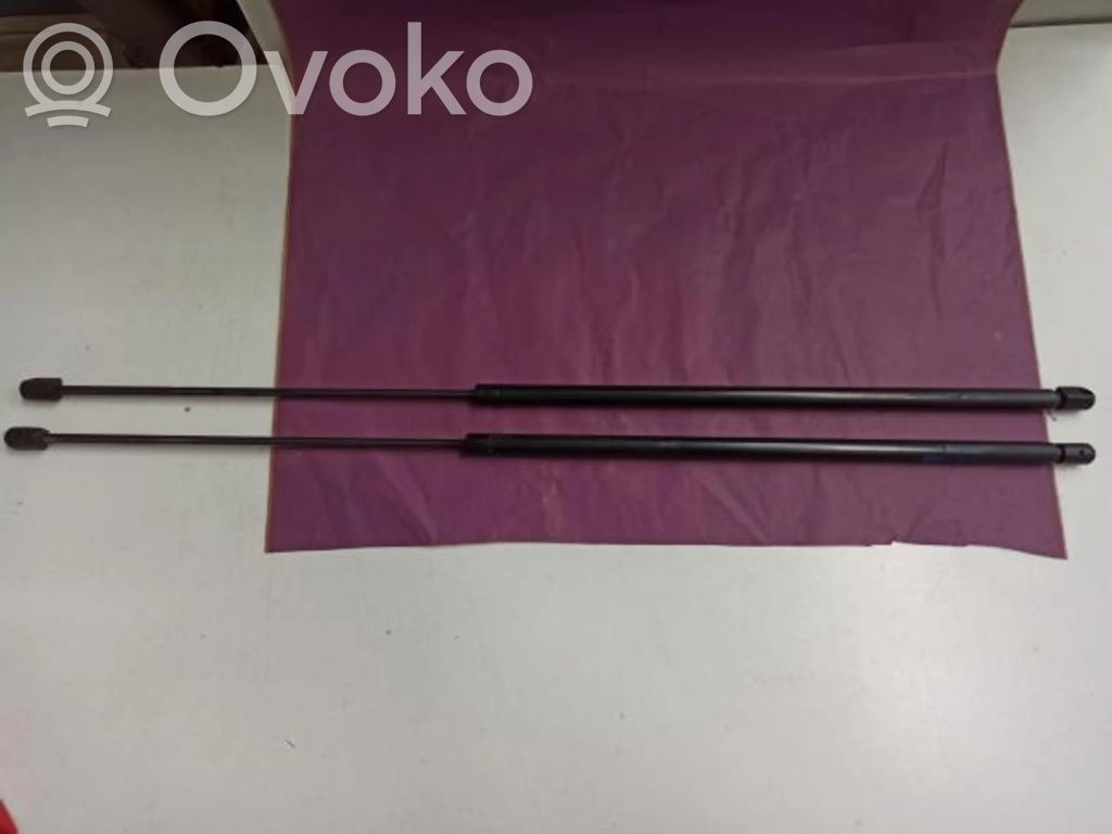Tailgate/trunk strut/damper   90481180