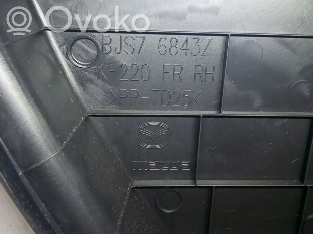 Etuoven verhoilu   BJS76843Z,BJS7684C1