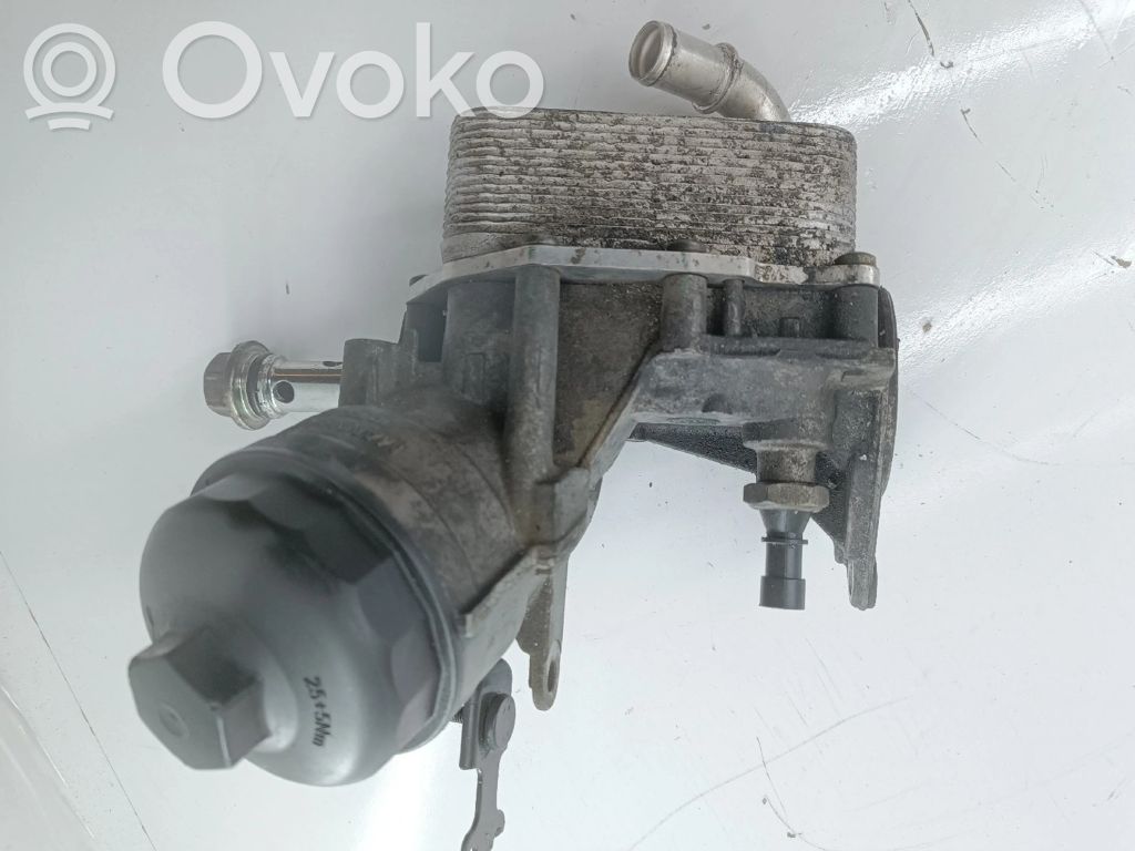 Engine oil radiator   1075513S01