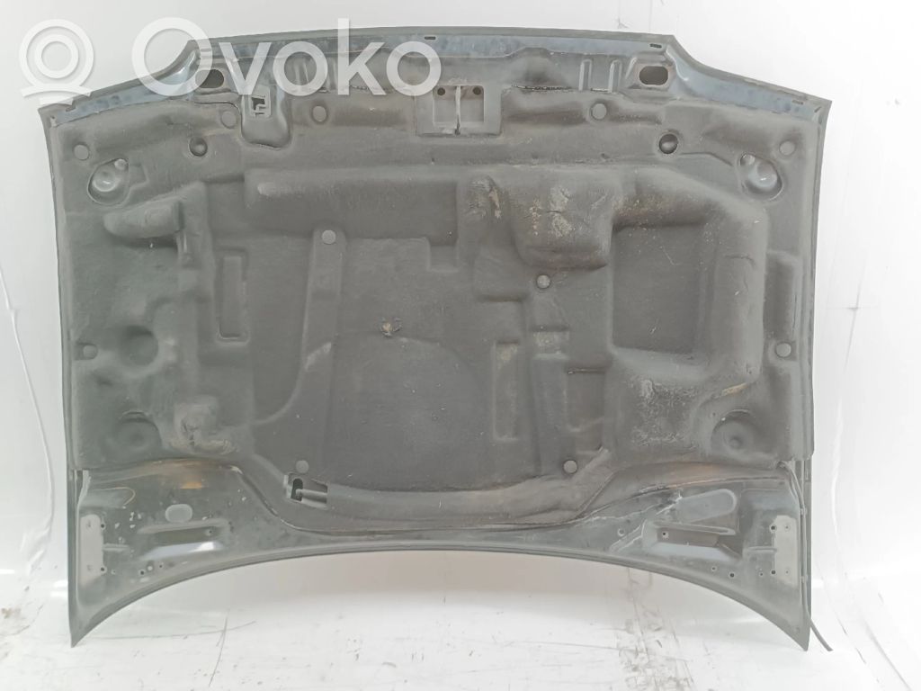 Motorhaube   PEQUENAMOSSA,RISCOS