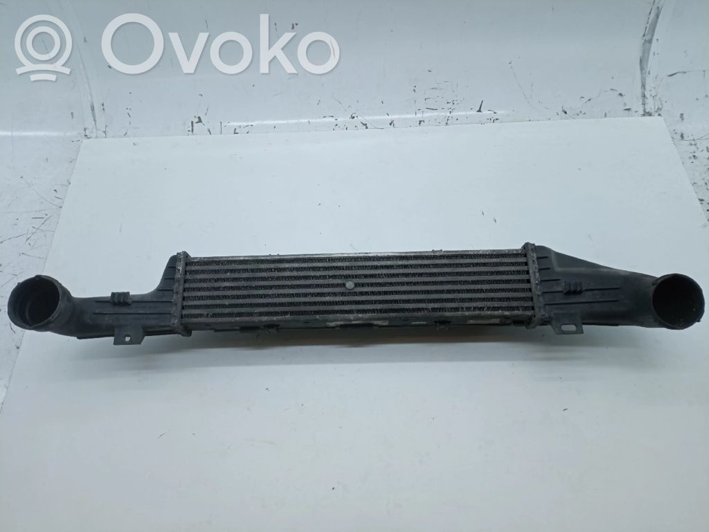 Intercooler radiator   A2105001400,A2105052130
