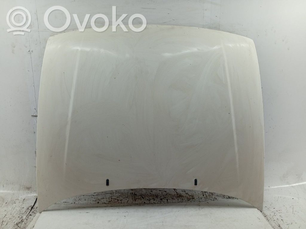 Engine bonnet/hood   COM,ALGUMAS,PICADAS