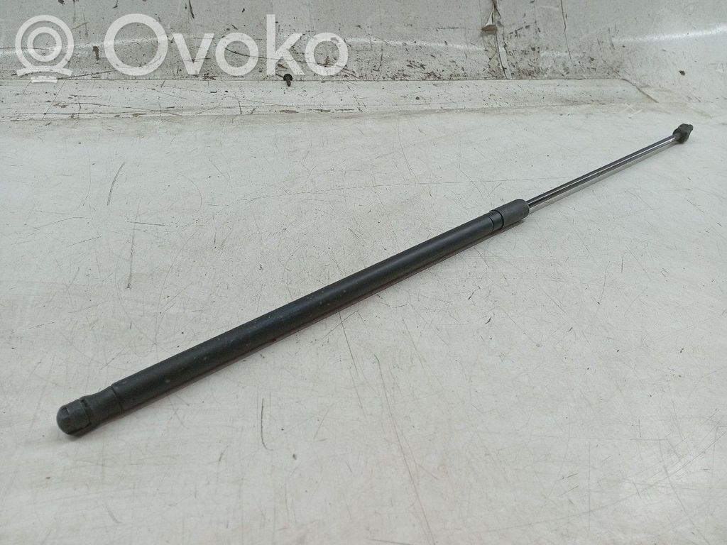 Engine bonnet/hood   1Q0823359