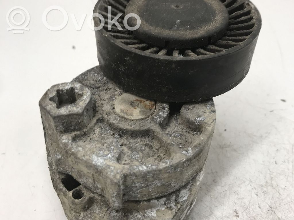 KIA Carnival Întinzător curea generator/alternator 