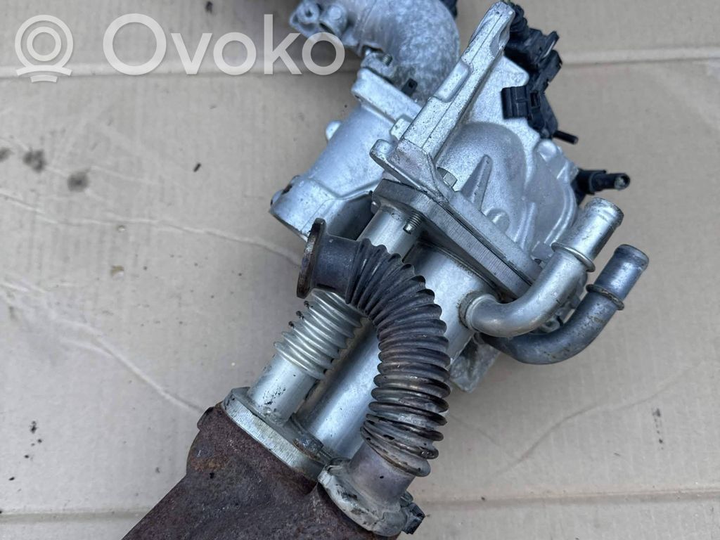 Renault Megane III EGR valve cooler 