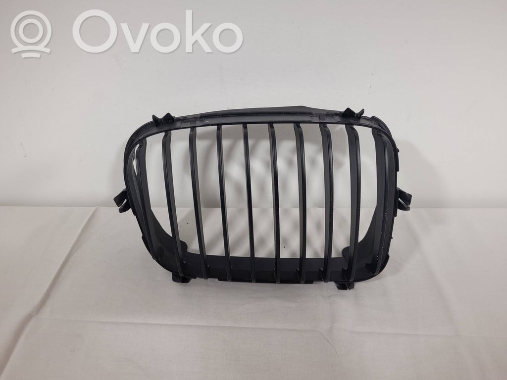 BMW 3 E46 Front grill 