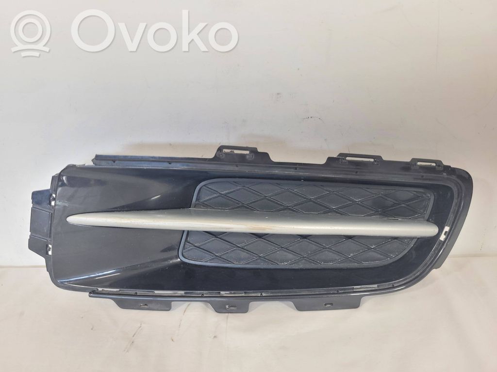 BMW X5 E70 Front bumper lower grill 