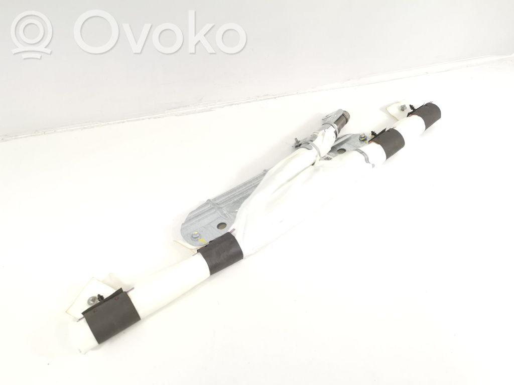Airbag del techo   103675700E,103675700