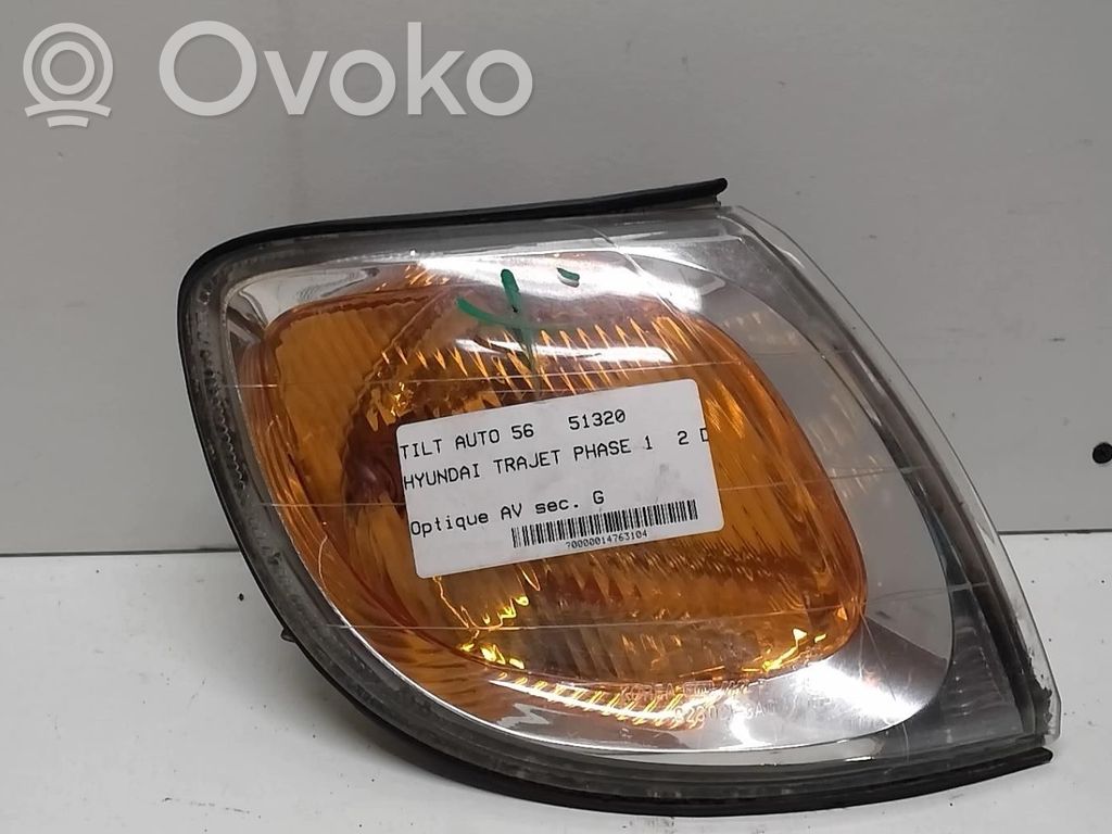 Hyundai Trajet Seitenblinker 