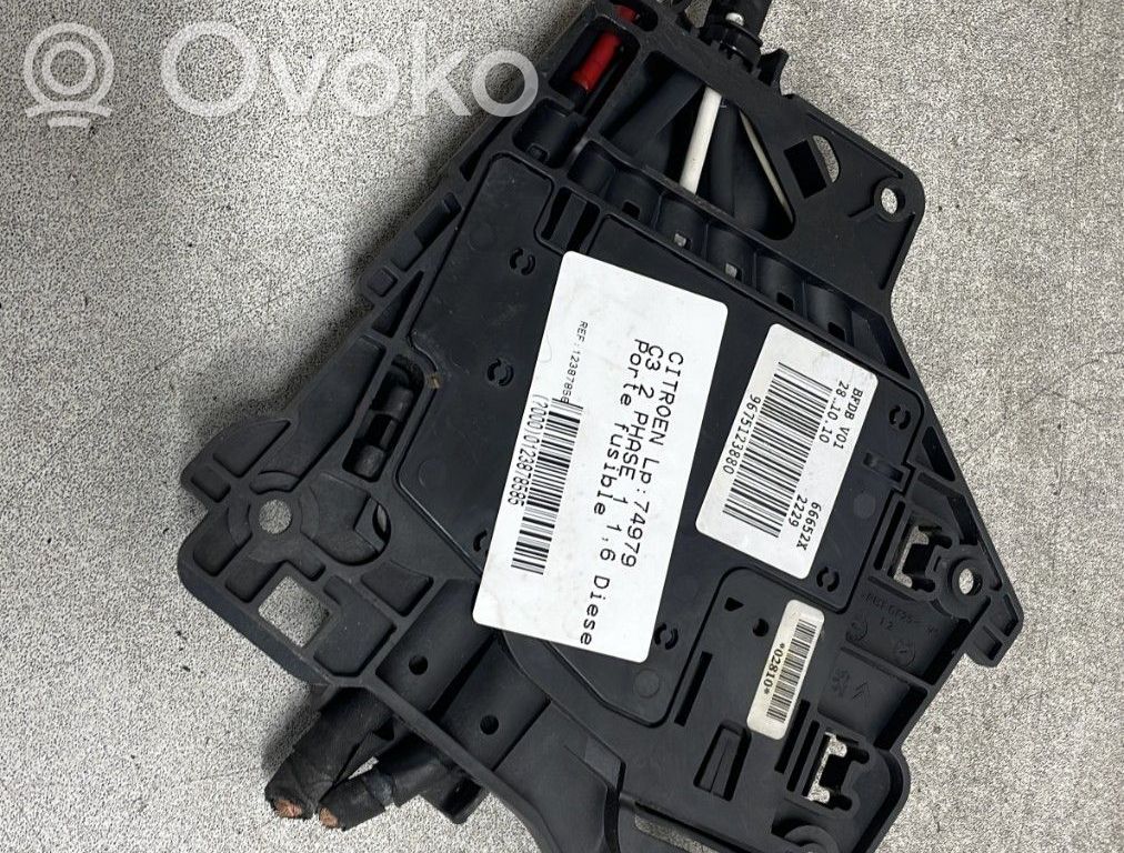 Fuse module   9675123880