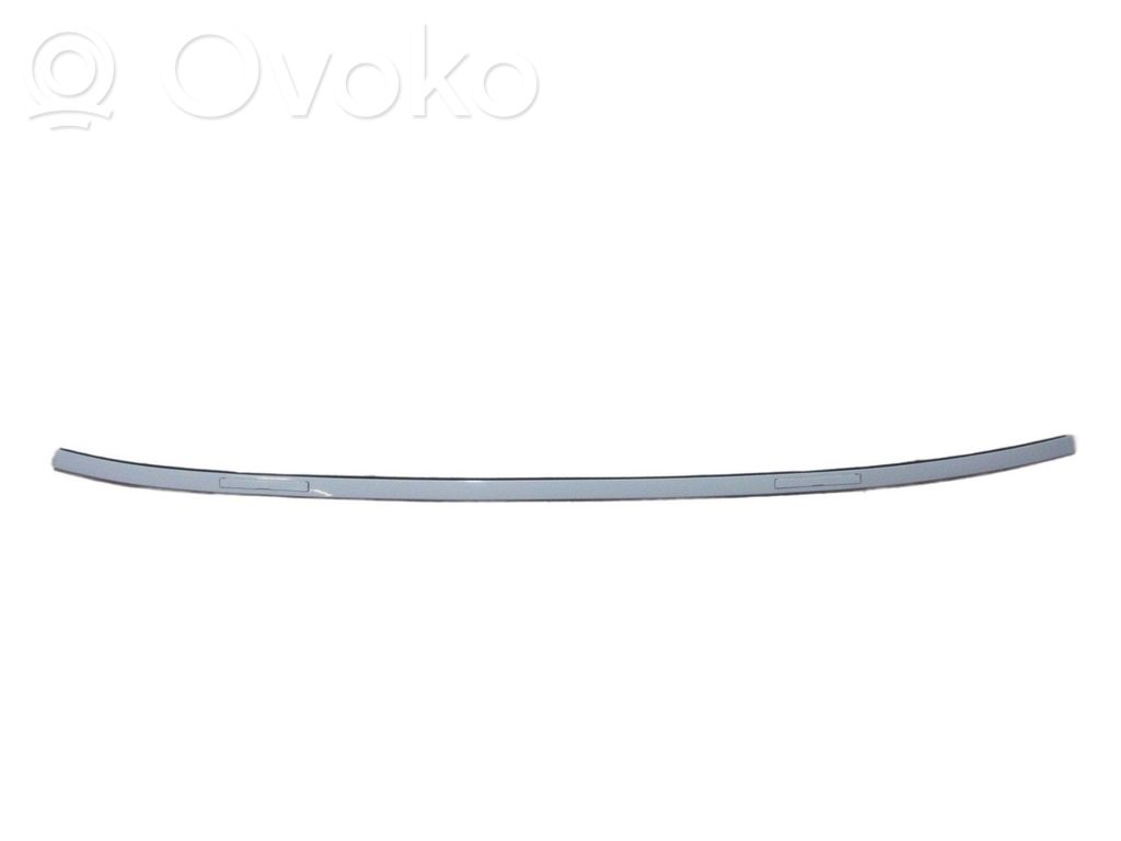 Listwa dachowa   51137312618,51DVBFGBFB1373BMW,7258182,7312618,ALPINWEISS
