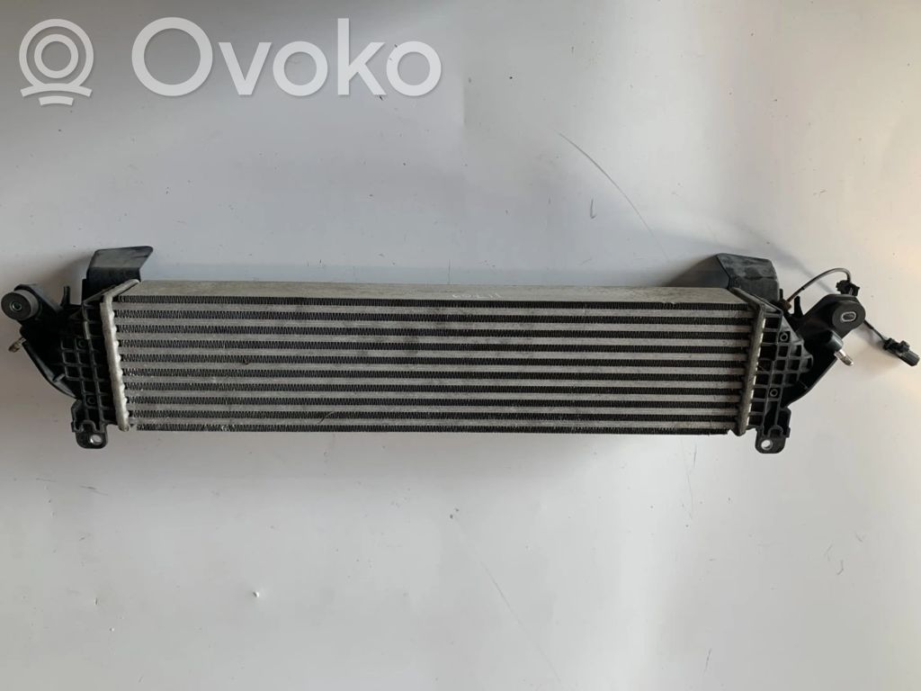 Intercooler radiator   SH0113565,1271004114,SH0113565