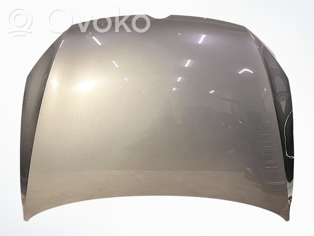 Engine bonnet/hood