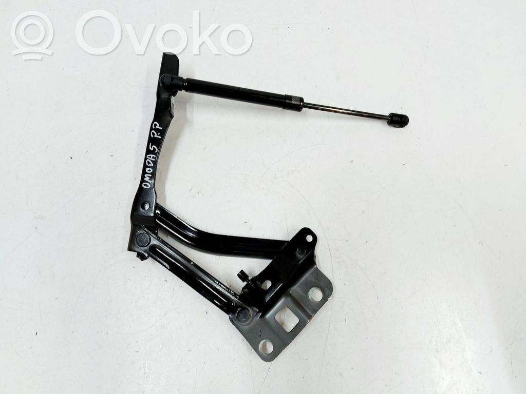 Chery 5/C5 Konepellin saranat 