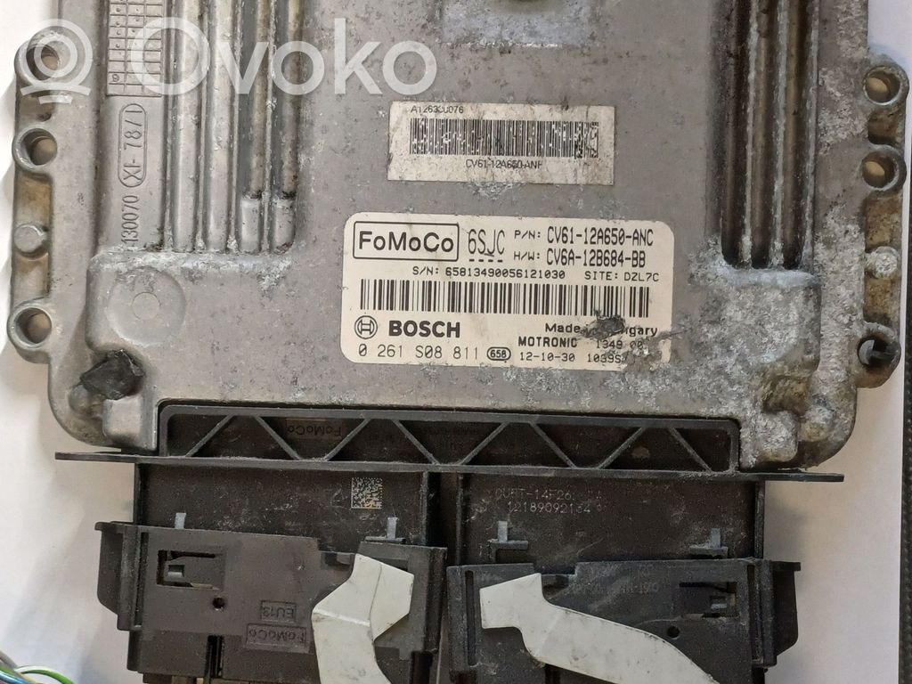 Ford Focus Engine control unit/module 