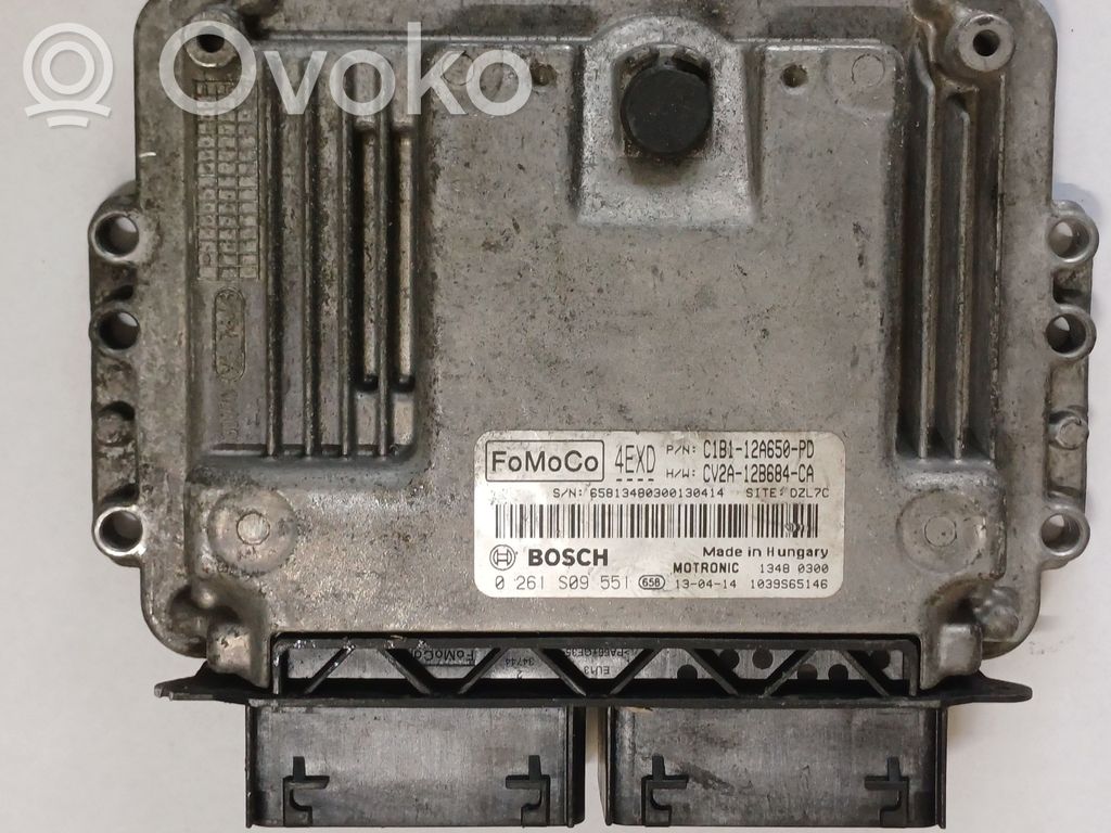 Ford Fiesta Engine control unit/module 