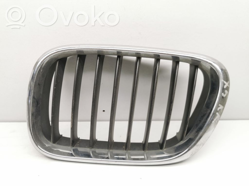 BMW X5 E53 Front grill 