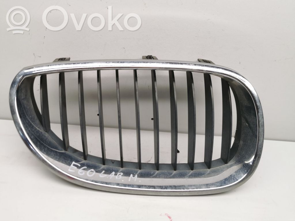 Kühlergrill   51137027066