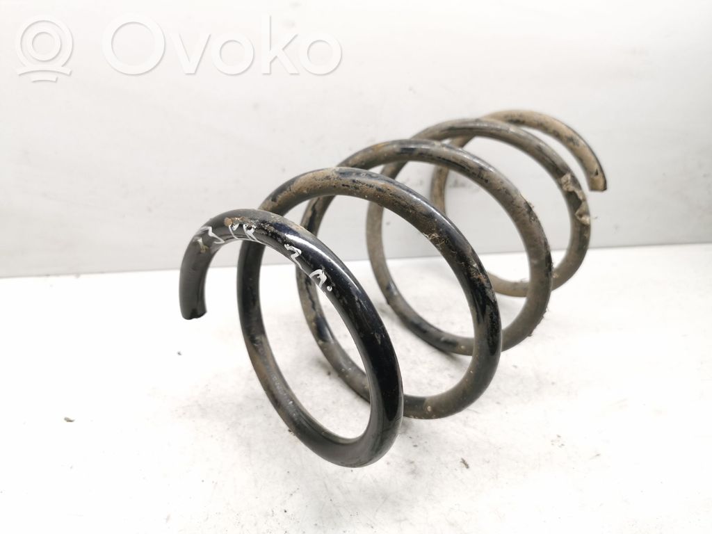 Front coil spring