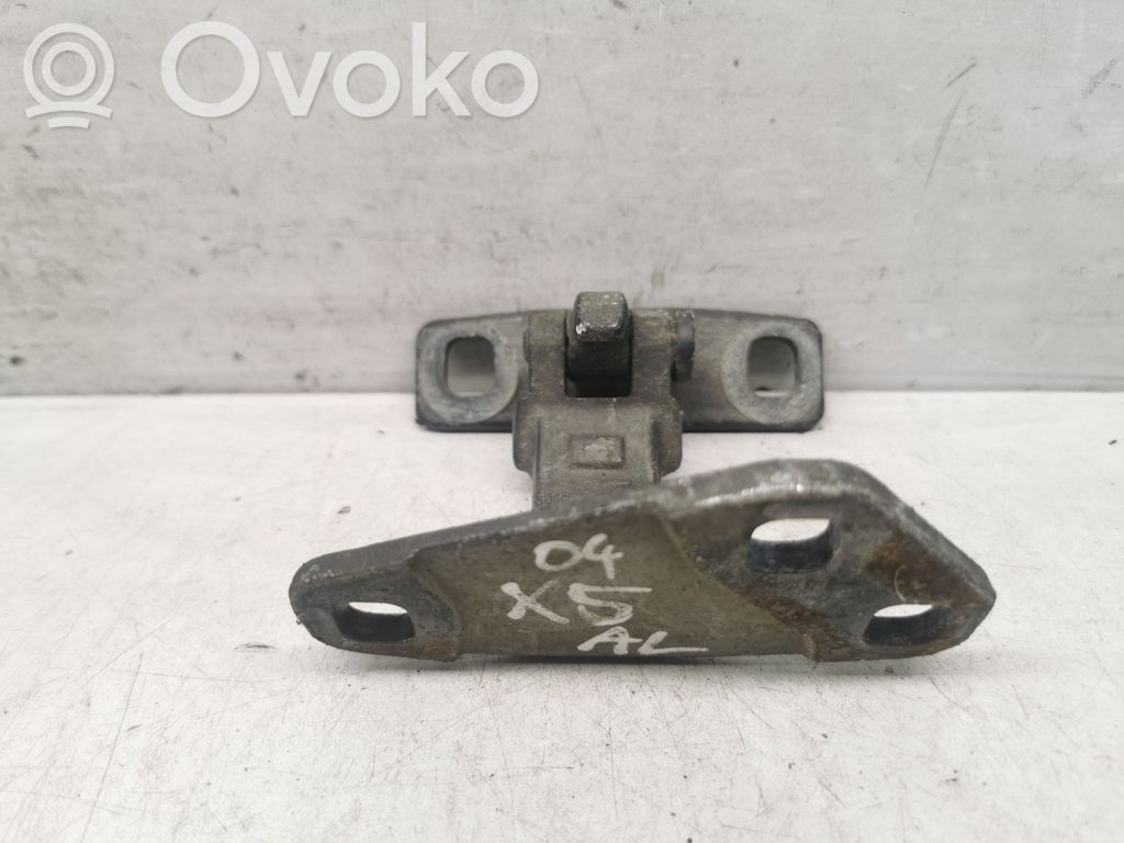BMW X5 E53 Tailgate/trunk/boot hinge 
